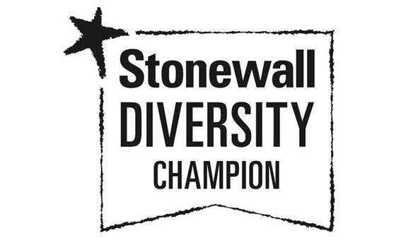 Logo - Stonewall Diversity Champion